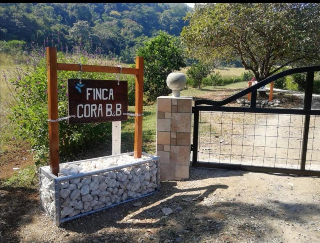 Casa Cora Bed And Breakfast Carmona ภายนอก รูปภาพ