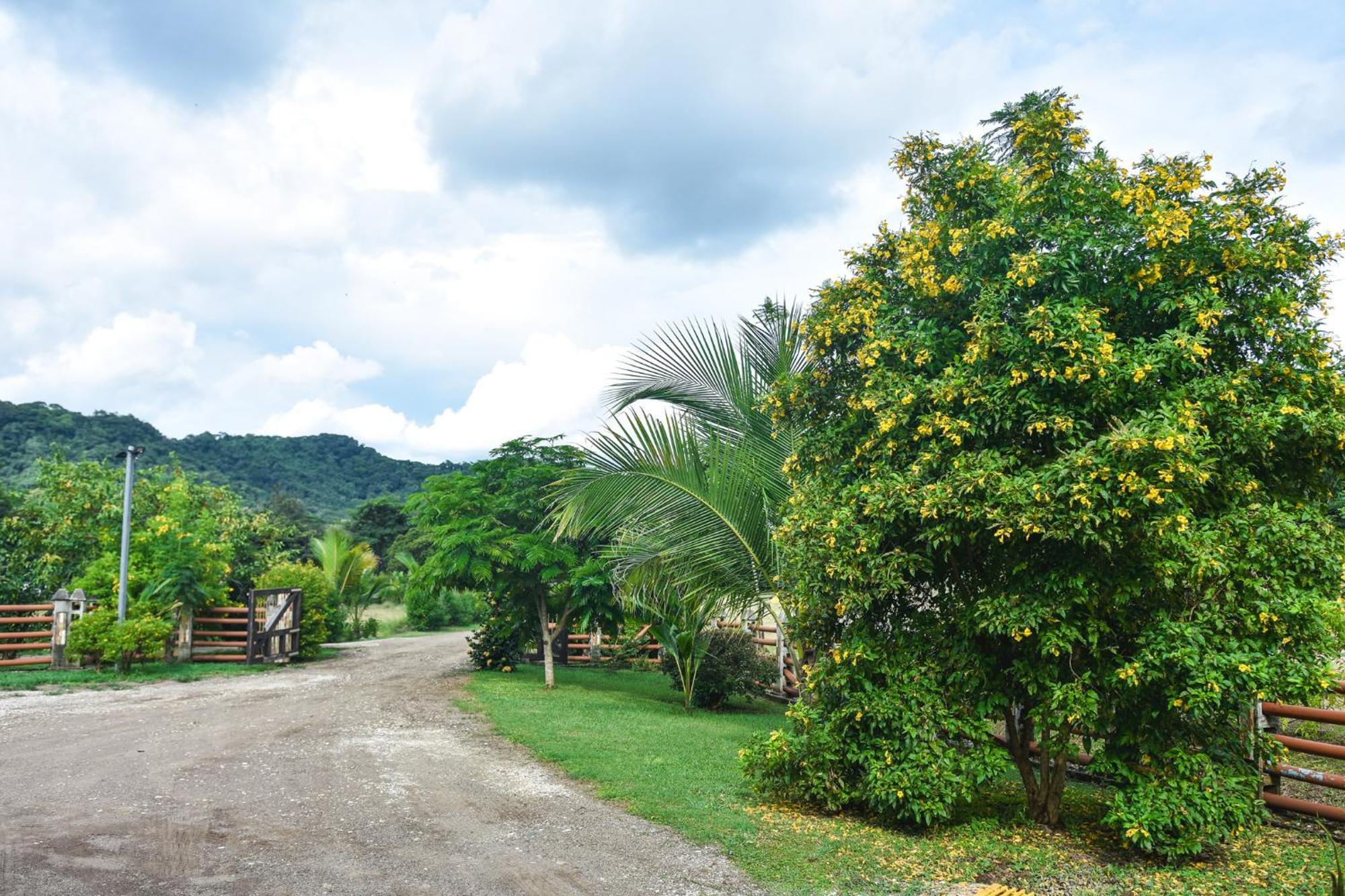 Casa Cora Bed And Breakfast Carmona ภายนอก รูปภาพ