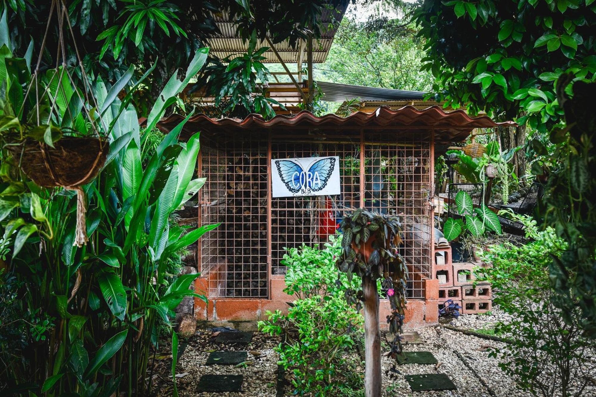Casa Cora Bed And Breakfast Carmona ภายนอก รูปภาพ