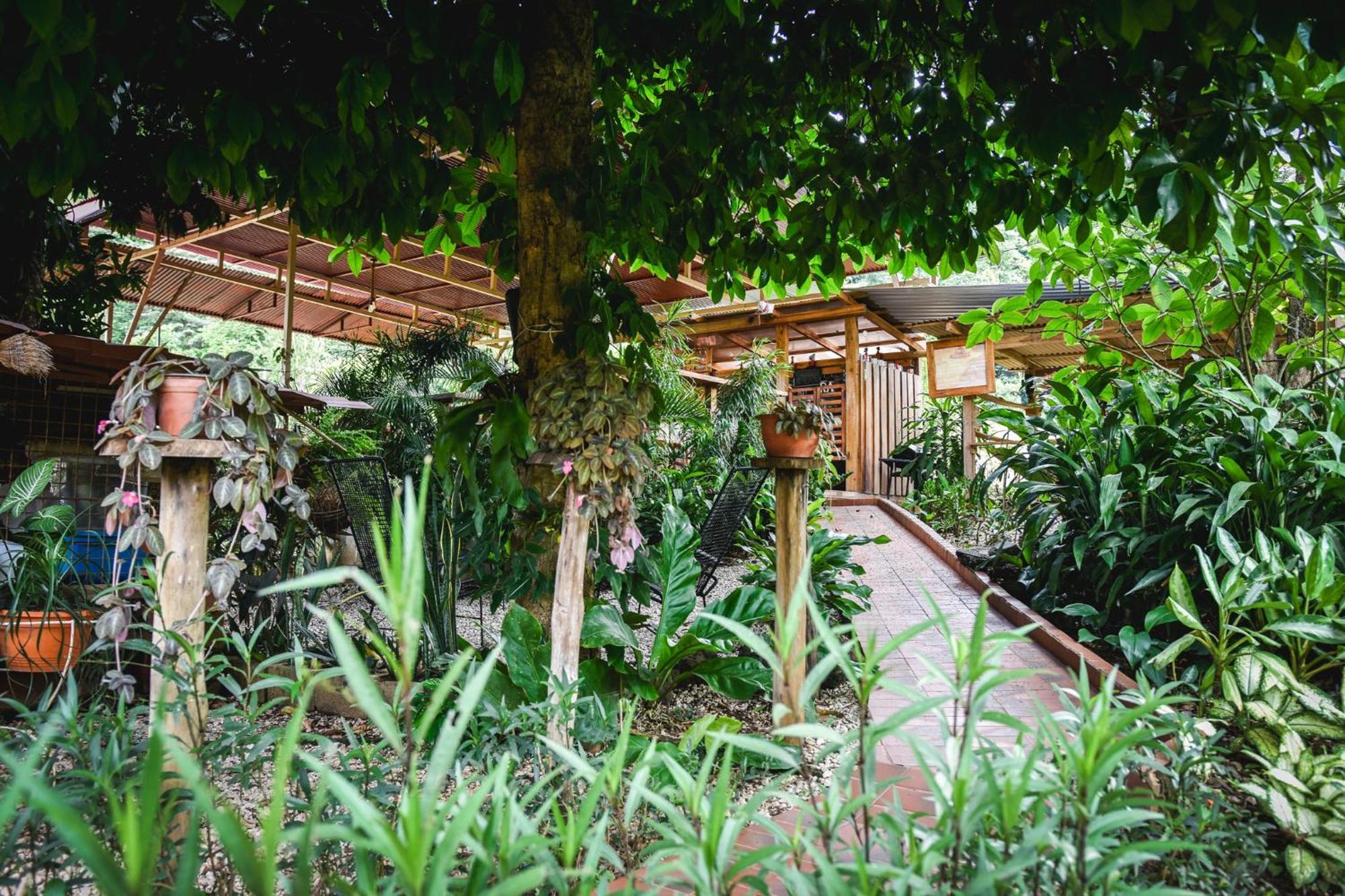 Casa Cora Bed And Breakfast Carmona ภายนอก รูปภาพ